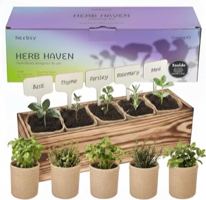 Herb Garden Kit